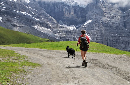 CLIMBING IN THE SWISS ALPS